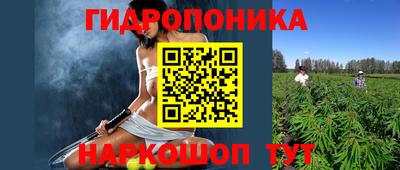 прущие грибы Туймазы