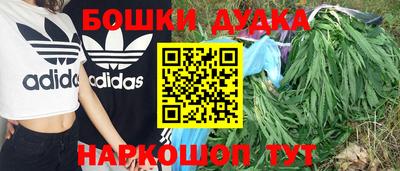 прущие грибы Туймазы