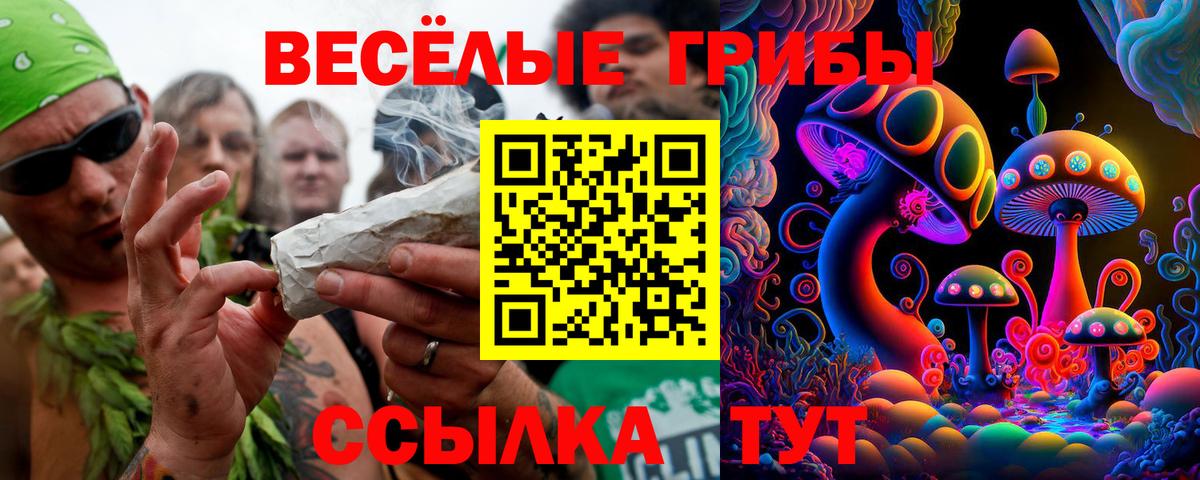 Нальчик  Псилоцибиновые грибы мицелий  Вход с VPN 